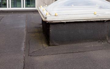 disadvantages of New Winton flat roofs